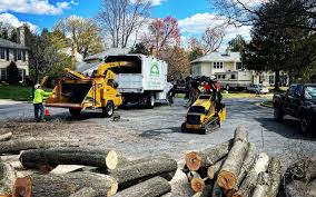 How Our Tree Care Process Works  in  Wolcott, IN